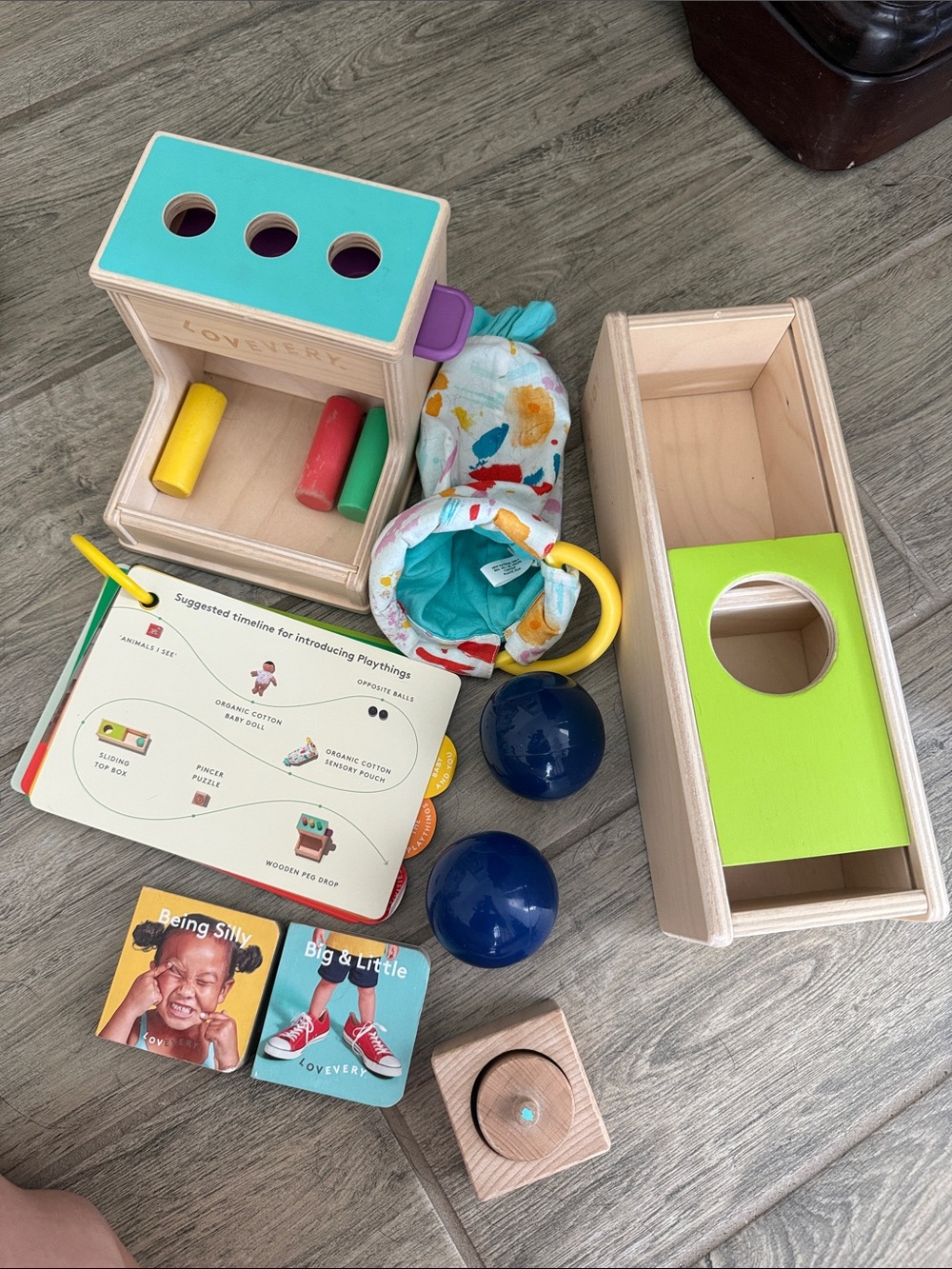 Lovevery The Thinker Play Kit Toys + Guide 11-12 Months